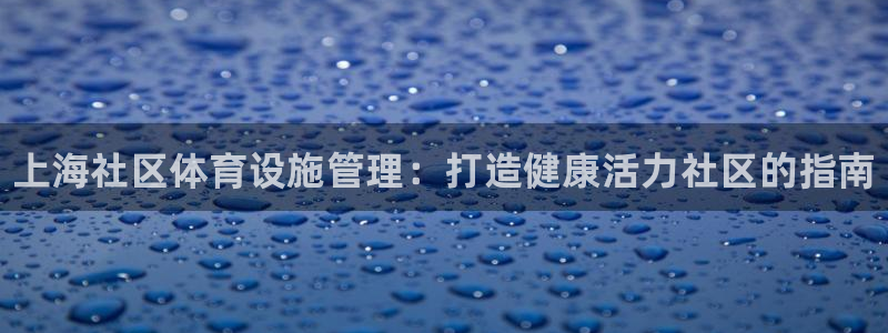 必一体育官网入口：上海社区体育设施管理：打造健康活力社区的指