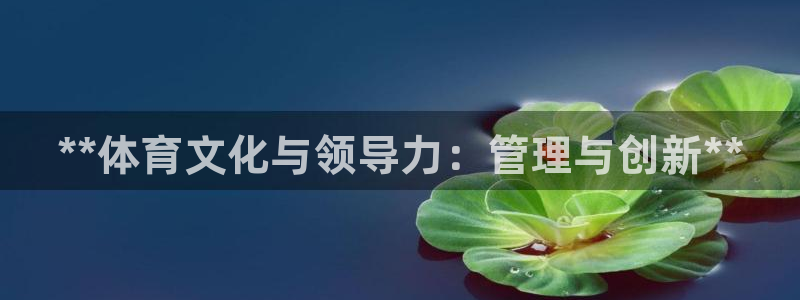 必一运动·(B-sports)：**体育文化与领导力：管理与