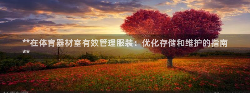 必一运动官网入口：**在体育器材室有效管理服装：优化存储和维