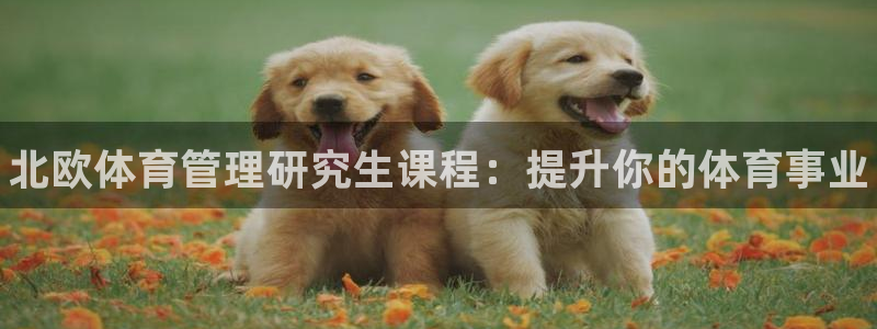 必一体育在线登陆：北欧体育管理研究生课程：提升你的体育事业