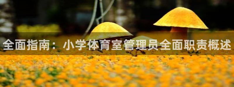 必一体育秀给网：全面指南：小学体育室管理员全面职责概述