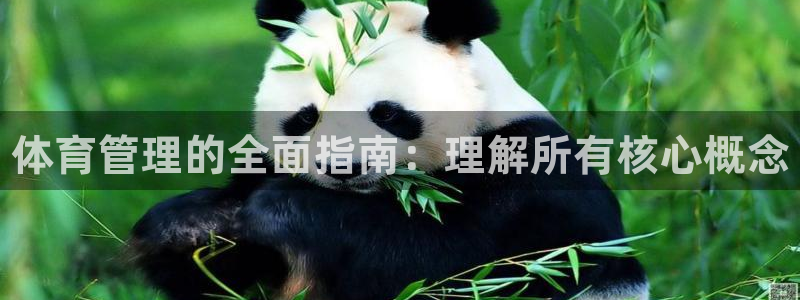 必一体育游戏特色：体育管理的全面指南：理解所有核心概念