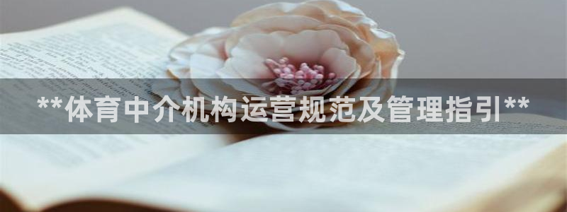 必一体育运动平台官网