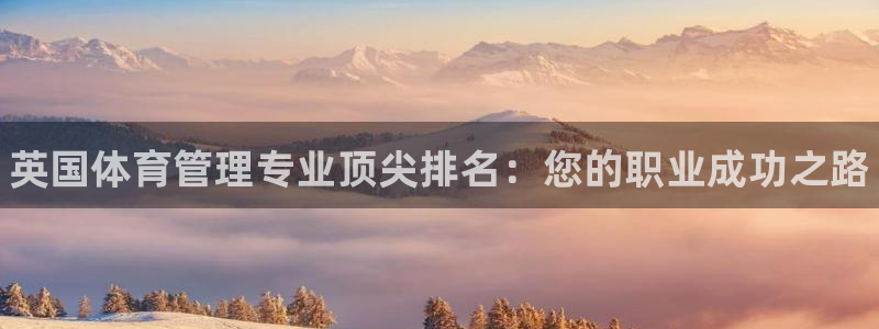 必一体育运动平台官网