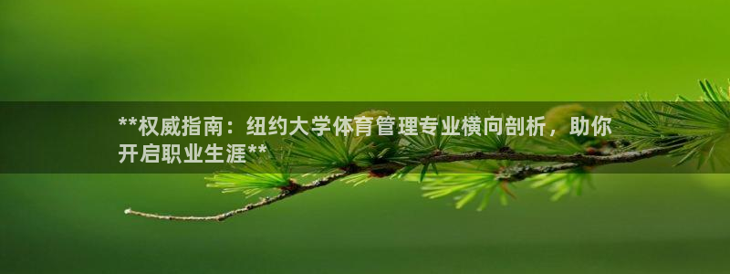 必一体育流水线是什么