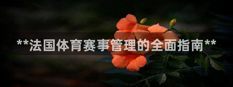 必一体育sport官