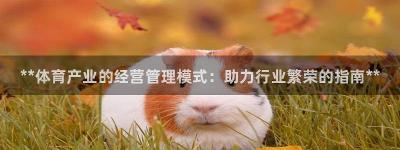 必一运动 b 体育素