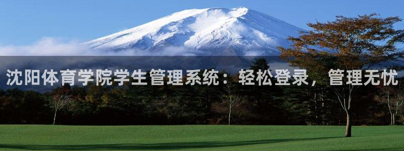 必一体育旧版：沈阳体