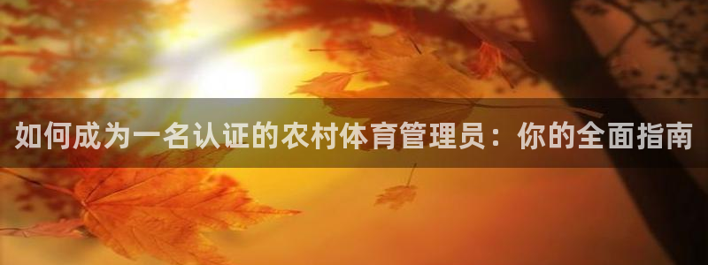 必一体育平台：如何成