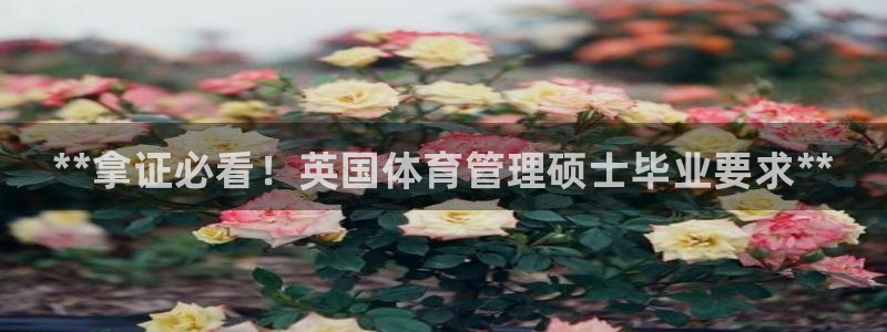 必一体育是啥：**拿