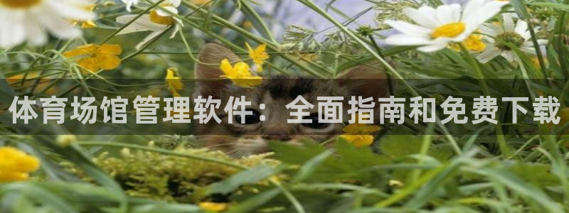 必一运动体育：体育场