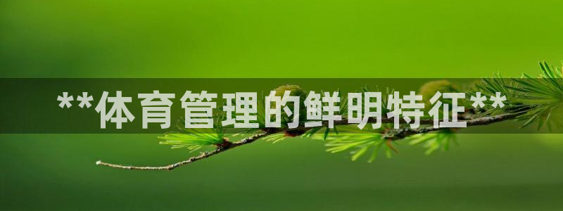 b体育官网下载入口a